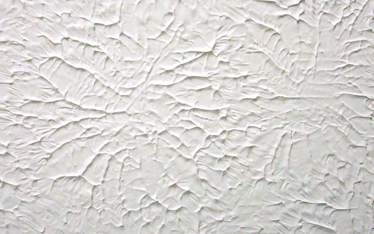Texture Finish Wall Paint